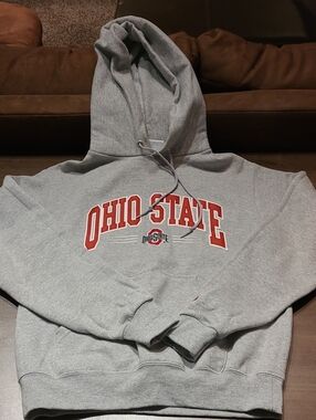 Champion Gray Ohio State Hoodie with Red Logo